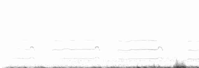 Black-tailed Godwit - ML617830923