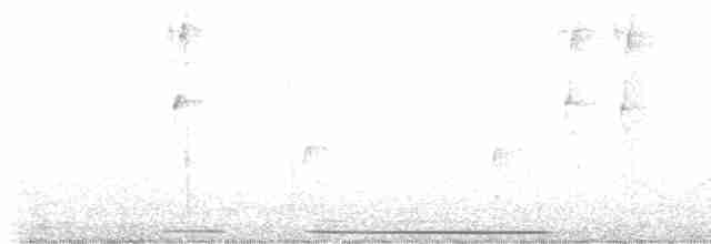 Белолобая голубка - ML617835352