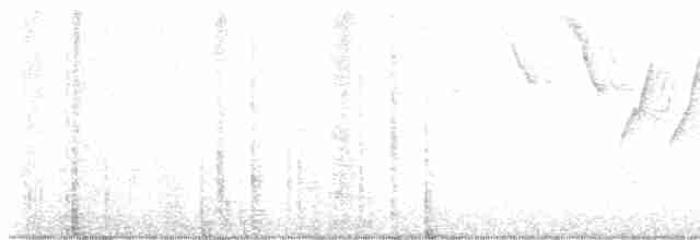 Yellow Warbler (Northern) - ML617835606