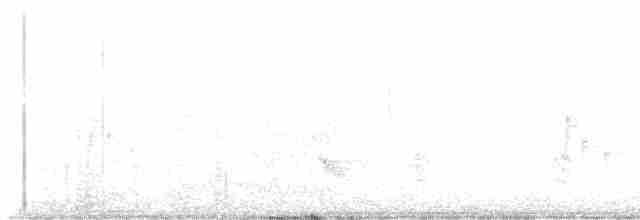 White-eyed Vireo - ML617835653