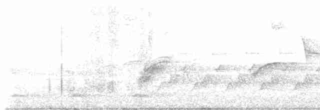 Cerulean Warbler - ML617836709