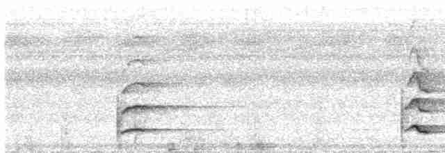White-throated Toucan - ML617837148