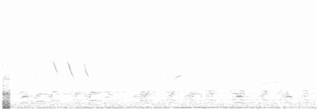 American Goldfinch - ML617838202