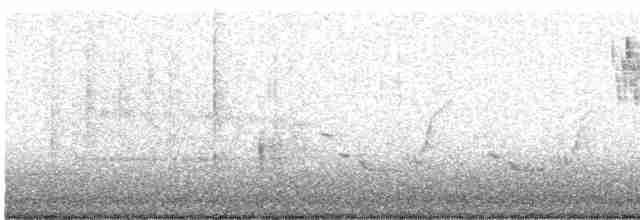 キヅタアメリカムシクイ（coronata） - ML617839047