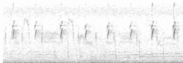 Щетинистая долгохвостка - ML617840016