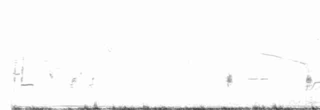 storpræriejerpe - ML617841046