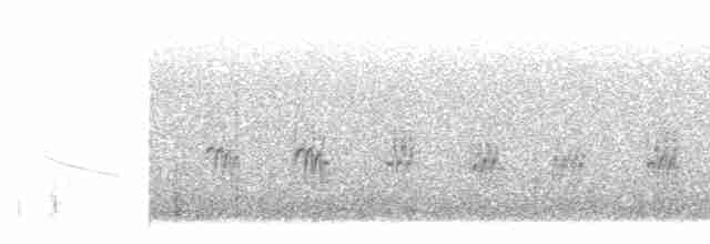 Txoriandre pispoleta mediterraneoa - ML617842756