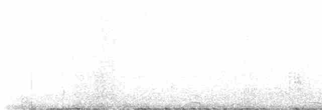 Great Reed Warbler - ML617843248
