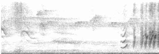 Pepitero Grisáceo del Caribe - ML617843623