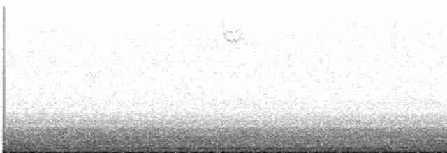 strnadec bělohrdlý - ML617844718