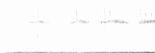 Широкохвостый колибри - ML617845479