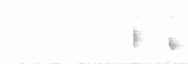 Kara Kanatlı Piranga - ML617845512