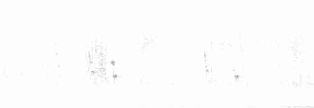 Tawny Pipit - ML617848251