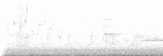 Oriole des vergers - ML617848252
