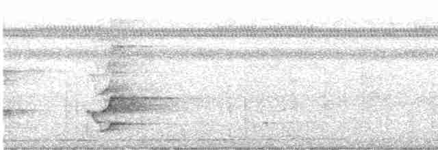 žluna jávská - ML617850215