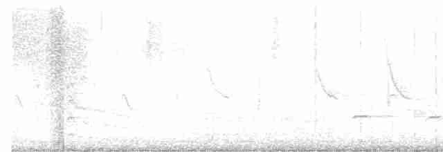 Yellow-bellied Sapsucker - ML617850936