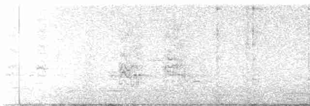 Белоглазая аратинга - ML617851328