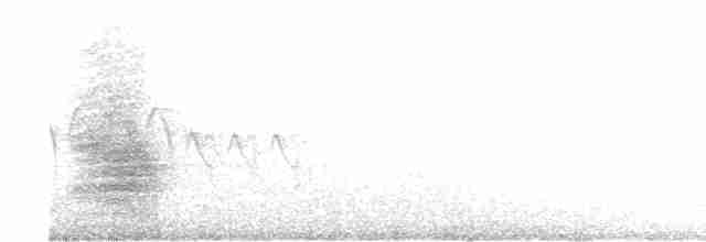 Geai de Steller (groupe diademata) - ML617851340