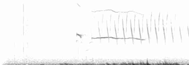 Ширококрылый канюк - ML617851528