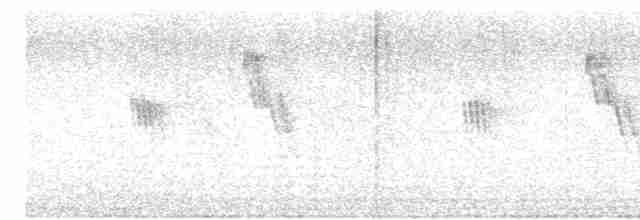holoubek vlnkovaný - ML617851709