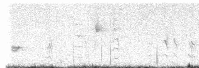 svarthakehonningeter - ML617851922