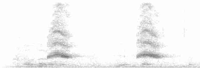 Toucan du Choco - ML617852404