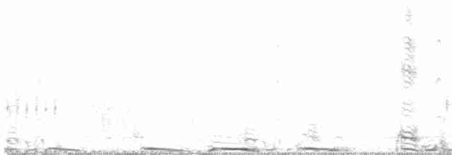 Sharp-tailed Grouse - ML617853496