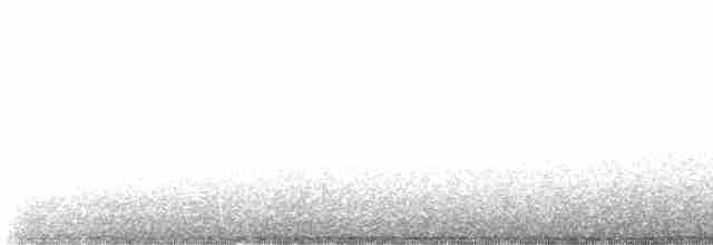 rorýs bělohrdlý - ML617853893
