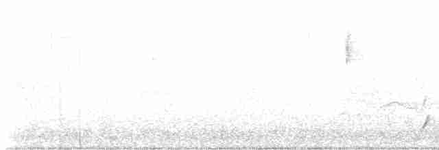 Дрізд-короткодзьоб Cвенсона [група ustulatus] - ML617855867