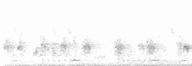 White-breasted Waterhen - ML617856199