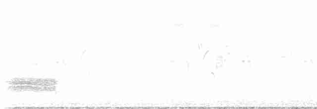 Black-collared Starling - ML617856325