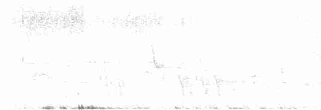 Iiwikleidervogel - ML617856526