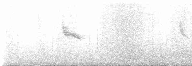 Сибирская горихвостка - ML617856754