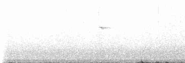 Daurian Redstart - ML617856755