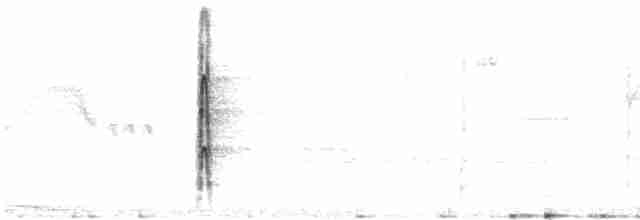 strakapoud proužkohřbetý - ML617857156