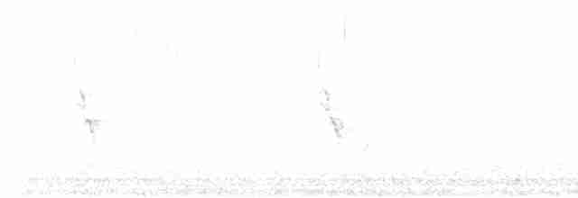 holoubek vlnkovaný - ML617857179