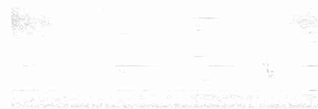 Сріблодзьоб чорногузий - ML617857462