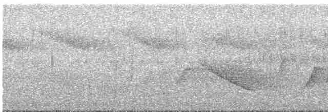 Белоухая сибия - ML617857689