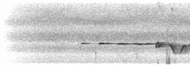 Gray-bellied Tesia - ML617858463
