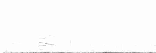 Hirondelle bicolore - ML617858984