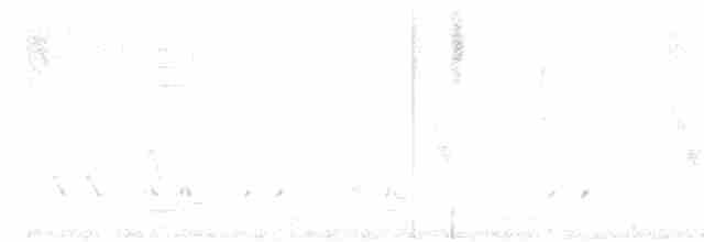 holoubek vlnkovaný - ML617859895