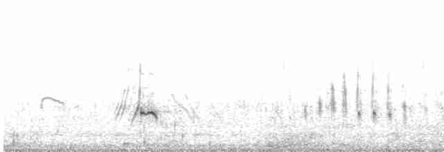 čírka kropenatá - ML617859926
