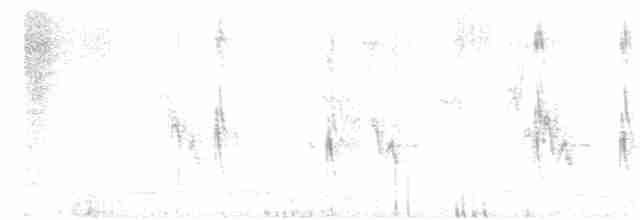 holoubek vlnkovaný - ML617860530