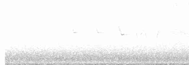 Трясогузковый певун - ML617860662