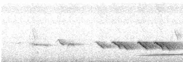 White-browed Shrike-Babbler - ML617860806