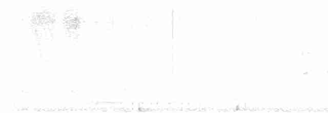 holoubek vlnkovaný - ML617861476
