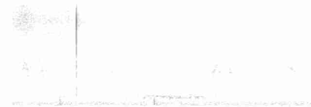 holoubek vlnkovaný - ML617861516