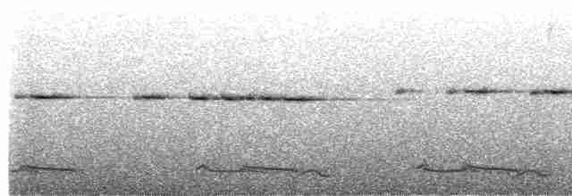 Рихтарик плямистий - ML617861825