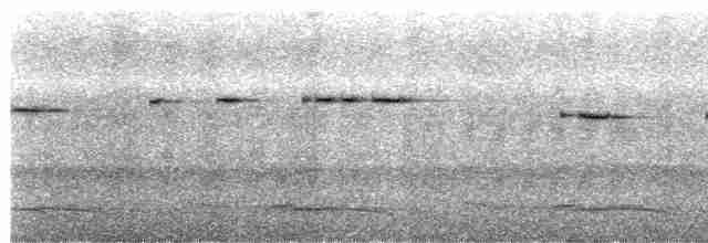 Рихтарик плямистий - ML617861826