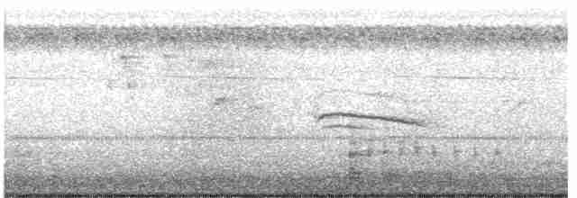 灰胸秧雞 - ML617862837